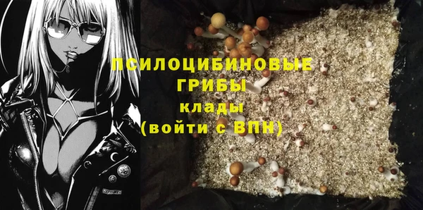 спайс Алексин