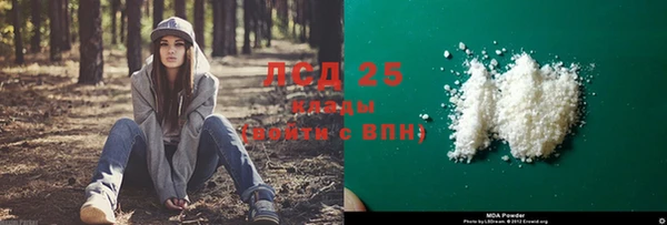 ПСИЛОЦИБИНОВЫЕ ГРИБЫ Алексеевка