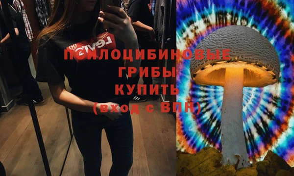 ПСИЛОЦИБИНОВЫЕ ГРИБЫ Алексеевка
