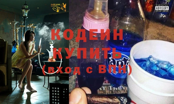 ПСИЛОЦИБИНОВЫЕ ГРИБЫ Осташков