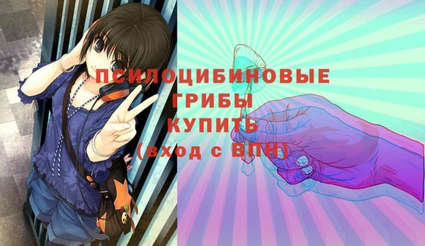спайс Алексин