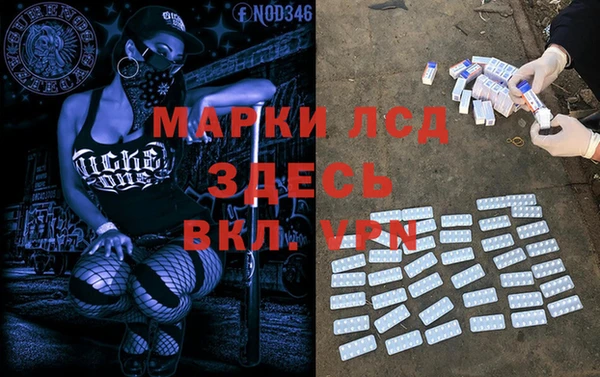 ПСИЛОЦИБИНОВЫЕ ГРИБЫ Алексеевка