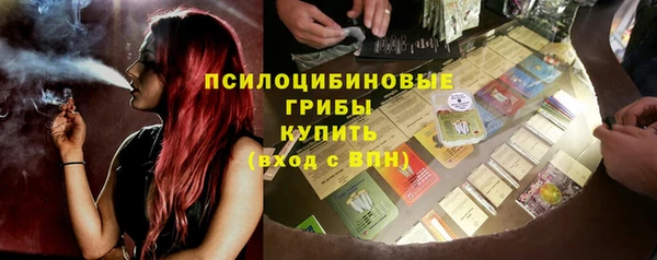 ПСИЛОЦИБИНОВЫЕ ГРИБЫ Алексеевка