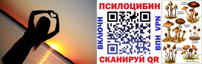 купить   ОМГ ОМГ сайт  Галлюциногенные грибы прущие грибы  Петровск 