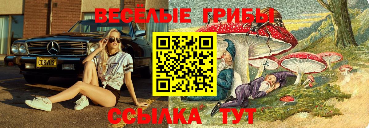 Петровск  Псилоцибиновые грибы GOLDEN TEACHER  Галлюциногенные грибы ЛСД  Вход с VPN 