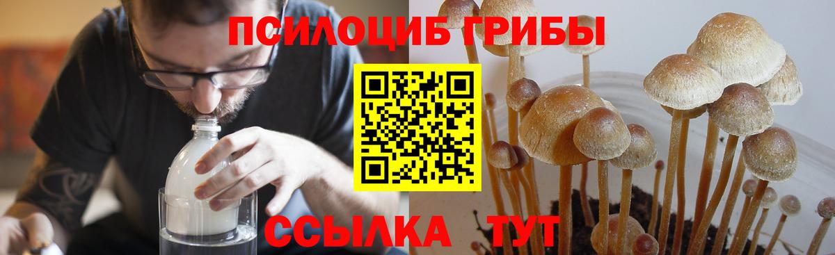 Псилоцибиновые грибы MAGIC MUSHROOMS Петровск